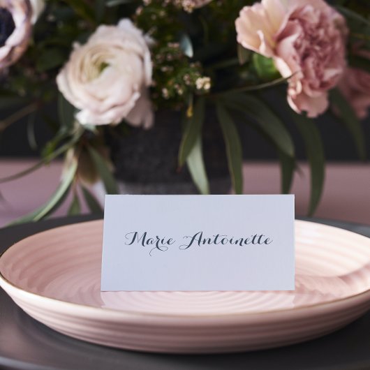 マリーアントイ結婚ネットのロココダスティブルー プレイスカード