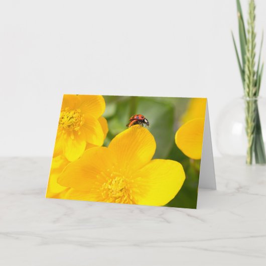 マリーゴールドのラディバグ空白の誕生日カード カード (正面)