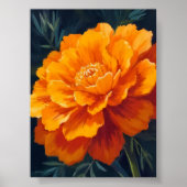マリーゴールドの花|水彩画の花の絵 ポスター (正面)