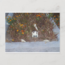 マリーゴールドの骨格 ポストカード