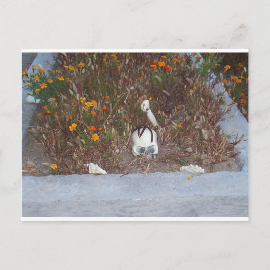 マリーゴールドの骨格 ポストカード (正面)