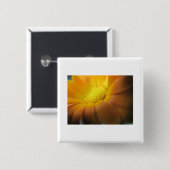 マリーゴールド 缶バッジ (正面&裏面)