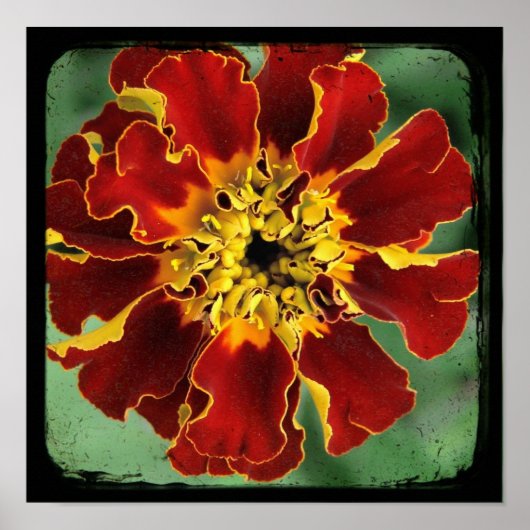 マリーゴールド 2 ポスター (正面)