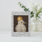 マリーザベビーカモメ葉書 ポストカード (スタンド正面)