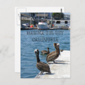 マリーナデルReyベリカンポストカード！ ポストカード (正面/裏面)