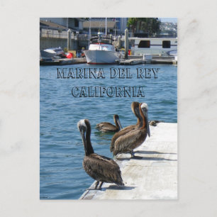 マリーナデルReyベリカンポストカード! ポストカード