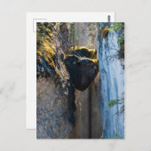 マリーニュ・キャニオンのチョックストーンズ – アルバータ,カナダ ポストカード (正面/裏面)