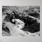 マリーンとその犬 ポスター (正面)