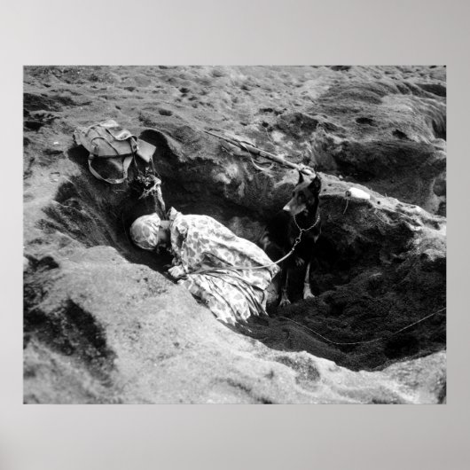 マリーンとその犬 ポスター (正面)