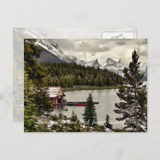 マリーンレイクボートシェードジャスパーナトゥルパークハガキ ポストカード (正面/裏面)