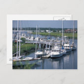 マリーン ポストカード (正面/裏面)