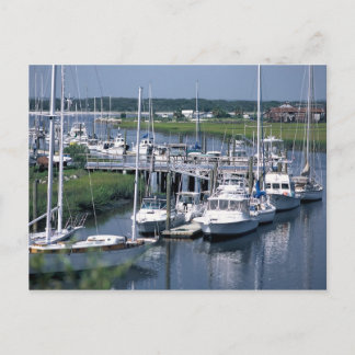 マリーン ポストカード