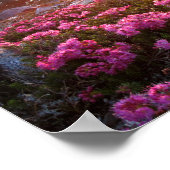 マリー湖サンライズ – ジョン・ミュアのトレイル – シエラ ポスター (角)