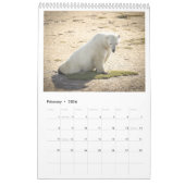 マリー・カルドナ – ザ・ヤングプリンス – 2022年暦 カレンダー (2月 2026)