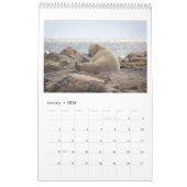 マリー・カルドナ – ザ・ヤングプリンス – 2022年暦 カレンダー (1月 2026)