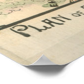 マリー・ハイツへの攻撃 ポスター (角)