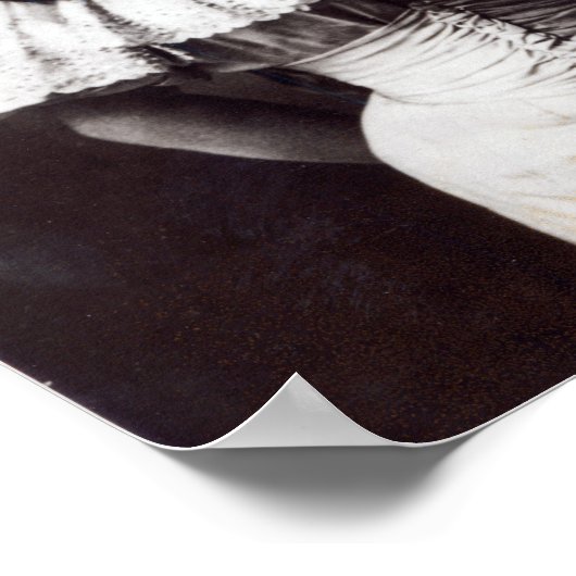 マリー・ロイド ポスター (角)