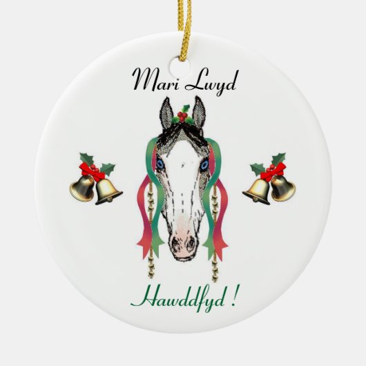 マリLwydのオーナメント セラミックオーナメント (正面)