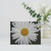 マルガリト ポストカード (スタンド正面)