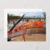 マルガリータのオレンジと黒のトカゲ シーズンポストカード (正面/裏面)