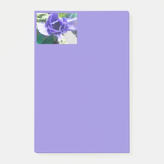 マルガレ ポストイット (正面)