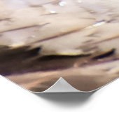 マルガンサーダック ポスター (角)