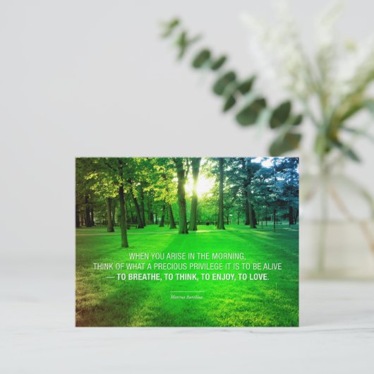 マルクス・アウレリウス・ライフ・ストイック特権引用文・ライフ ポストカード (スタンド正面)