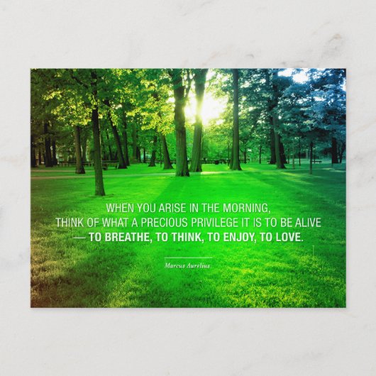 マルクス・アウレリウス・ライフ・ストイック特権引用文・ライフ ポストカード (正面)