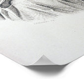 マルクス・トゥリウス・キセロポートレート ポスター (角)