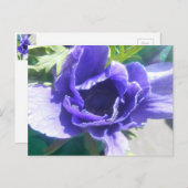 マルグリット ポストカード (正面/裏面)