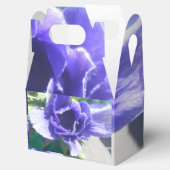 マルゲライト フェイバーボックス (オープン)