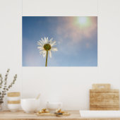 マルゲライト –  ポスター (キッチン)