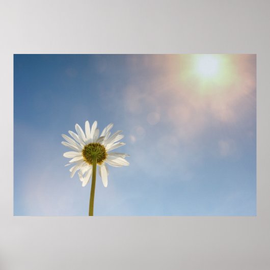 マルゲライト –  ポスター (正面)