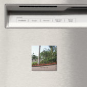 「マルコ島、フロリダ州」 マグネット (インサイチュ (食洗機))