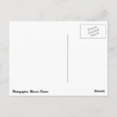 マルコ島FL ポストカード (裏面)