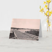 マルコ・ブリッジ，マルコ島，フロリダ州， 1930s カード (黄色い花)