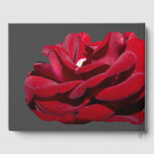 マルサラ結婚のゲストブック ゲストブック (裏面)