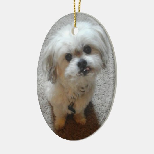 マルシのオーバルクリスマスオーナメントを飾る セラミックオーナメント (左)