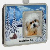 マルシの冬のワンダーオーナメントに耐える シルバープレートフレームオーナメント (右)