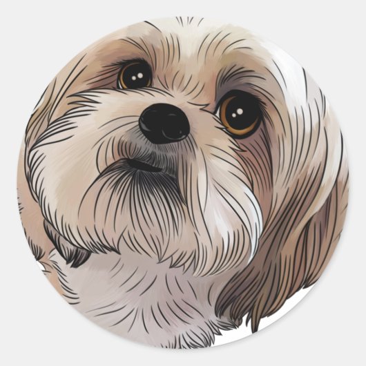 マルシマルシ ラウンドシール (正面)