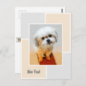 マルシー犬の想い出葉書 ポストカード (正面/裏面)