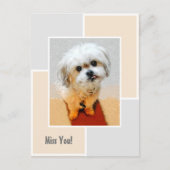 マルシー犬 寂しいよ ポストカード (正面)