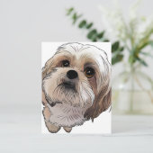 マルシ・マルシ ポストカード (スタンド正面)