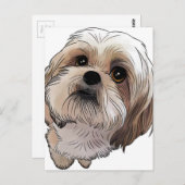 マルシ・マルシ ポストカード (正面/裏面)