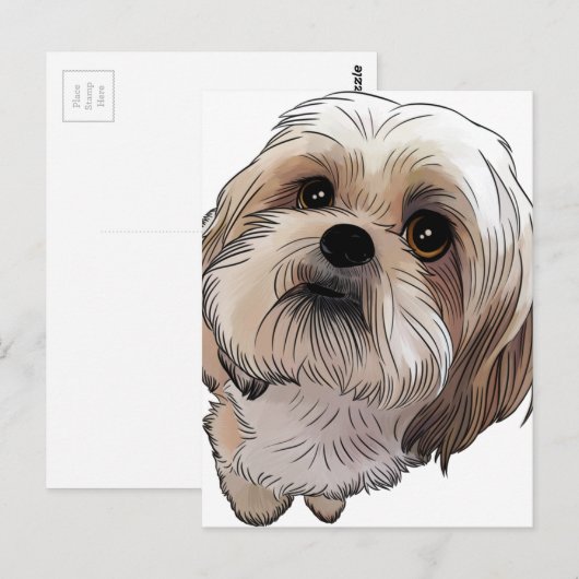 マルシ・マルシ ポストカード (正面/裏面)