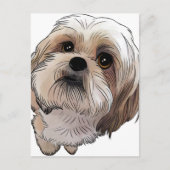 マルシ・マルシ ポストカード (正面)