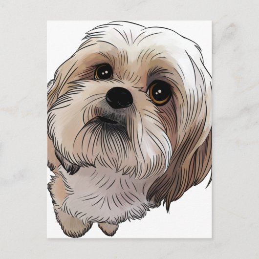 マルシ・マルシ ポストカード (正面)