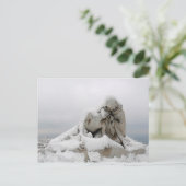 マルセイユ ポストカード (スタンド正面)