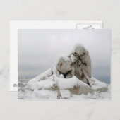 マルセイユ ポストカード (正面/裏面)