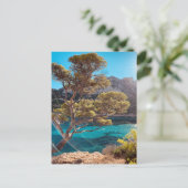 マルセイルフランスのフランス葉書のリビエラの見解 ポストカード (スタンド正面)